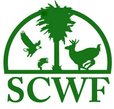 Calling all stay at home artists: South Carolina Wildlife Federation ...
