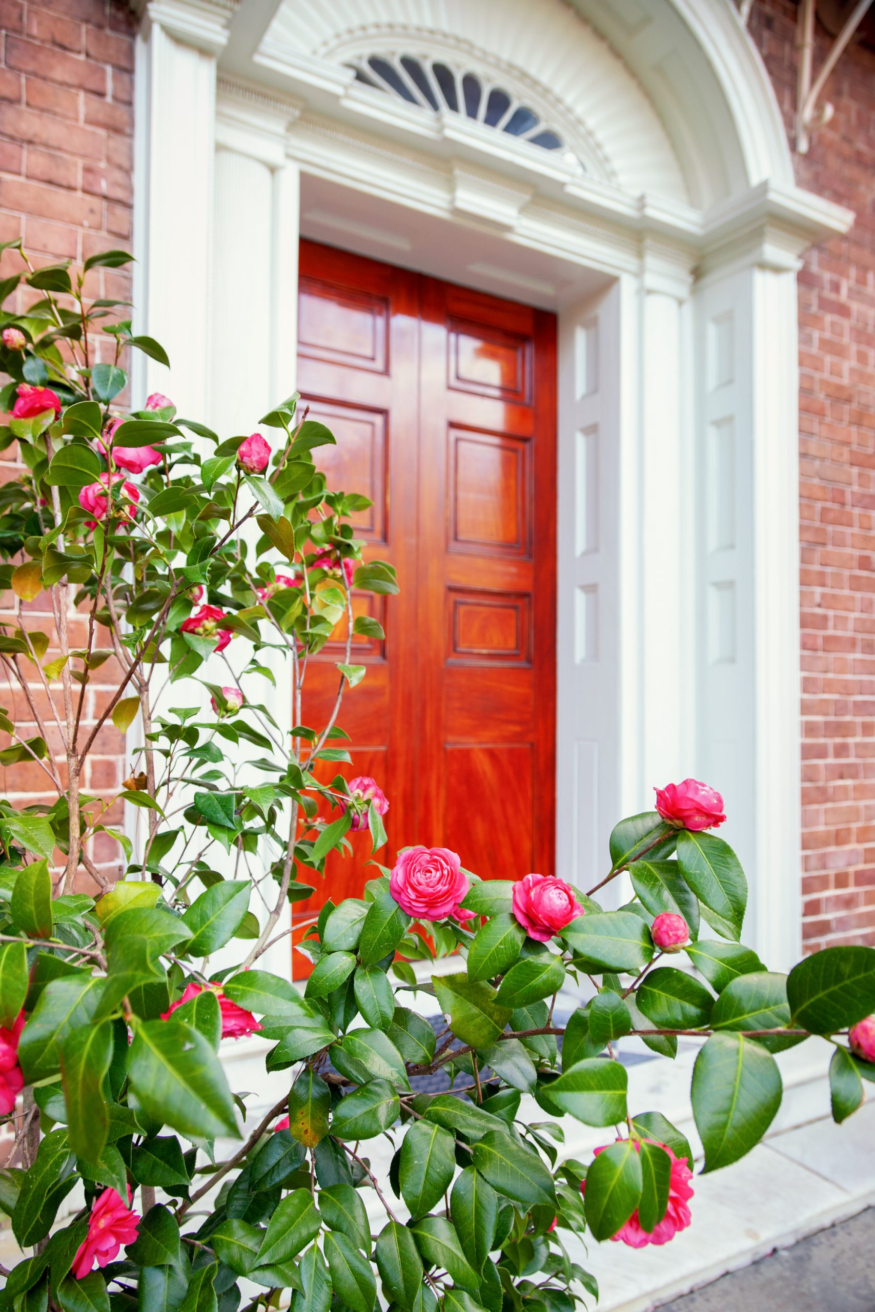 Historic Charleston Foundation S 75 Annual Festival Of Houses And   1802 Camellia Door 01 Scaled 