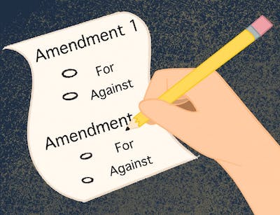 Statewide Constitutional Amendment Question On November 8 General