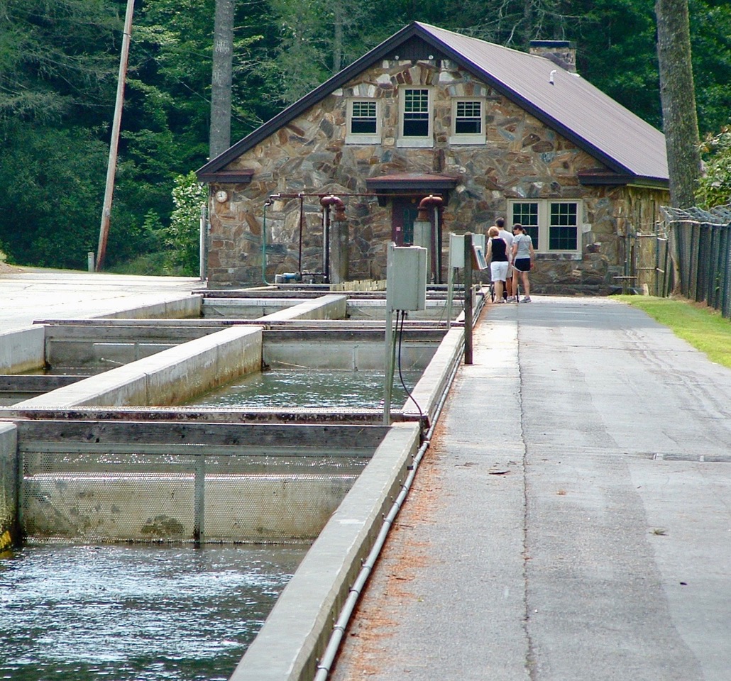 The CCC Who's On The Move