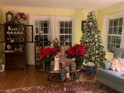 Photo of Christmas holiday decorations in a room