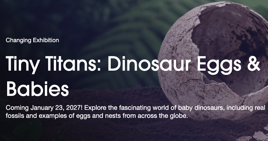 State Museum announces new exhibition, Tiny Titans: Dinosaur Eggs & Babies, opening in January 2027